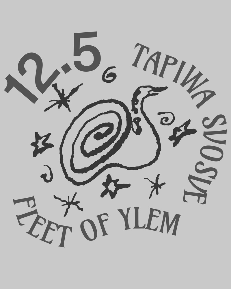 Fleet of Ylem  + Tapiwa Svosve