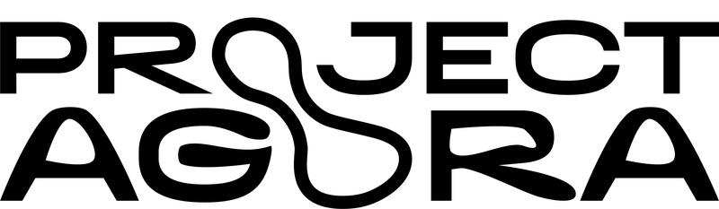 Project Agora 2025