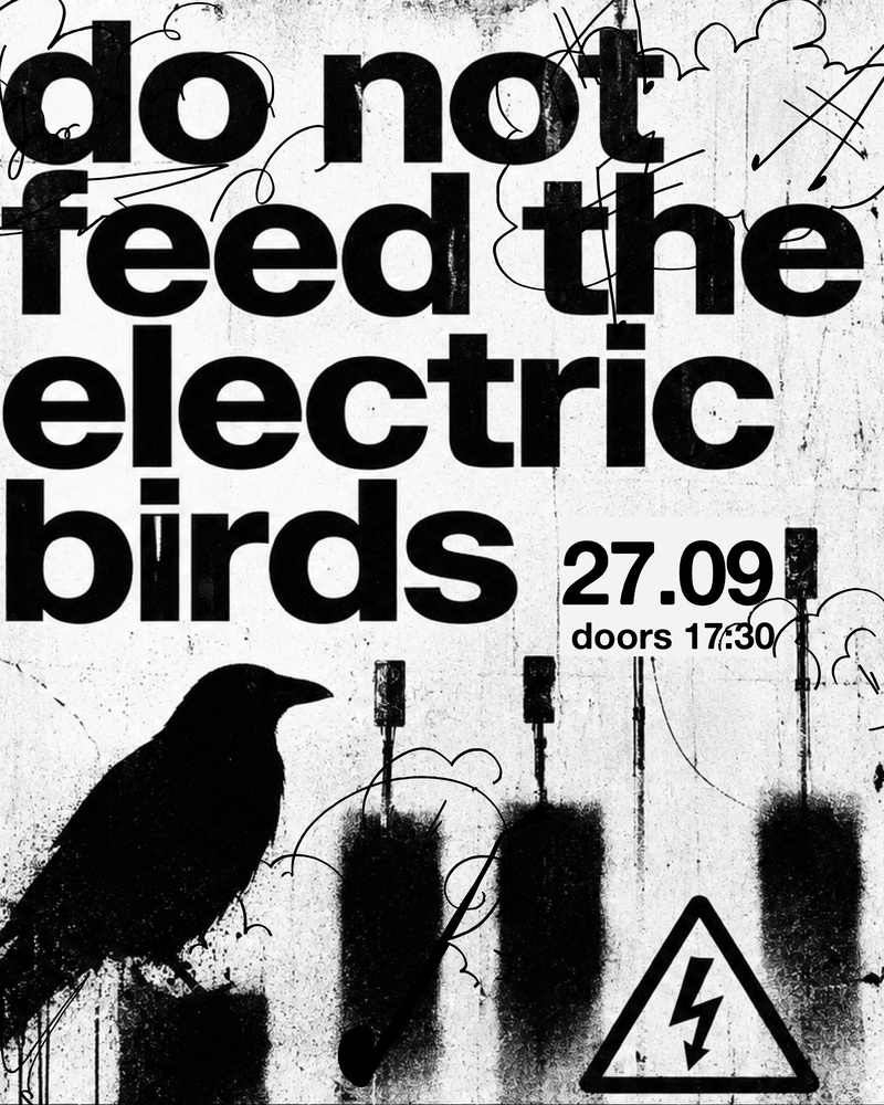 do not Feed the Electric Birds - Marco Fusi & Scott McLaughlin