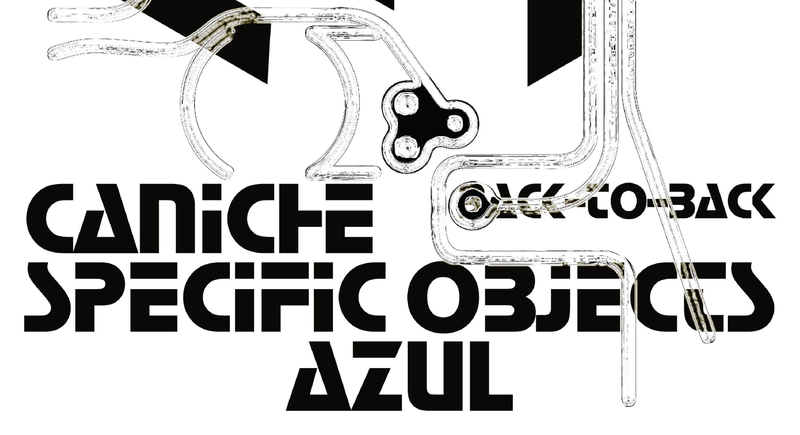 CANICHE B2B SPECIFIC OBJECTS (DE)+ AZUL (CH)