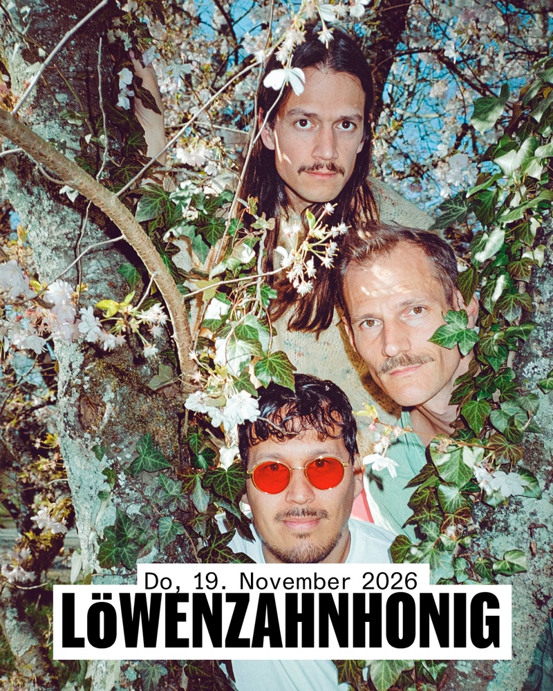 Löwenzahnhonig