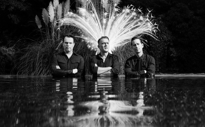 The Peacocks