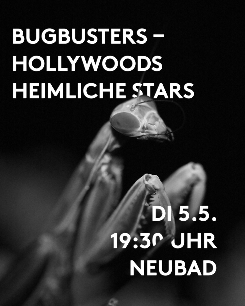 Bugbusters – Hollywoods heimliche Stars